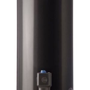 Termotanque Rheem A Gas De Pie Tgnp080rh Gris 80lts Aee